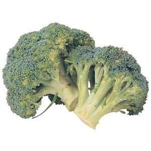 Brocoli Coronas Mt