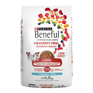 Purina Beneful Crecimiento Vibrante Alimento Seco Cachorros Razas Minis y Pequeñas Carne Bulto de 4 kg