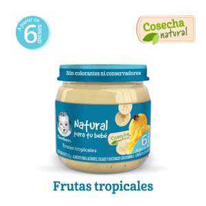 Gerber Papilla Et 2 Frutas Tropicales 113 g