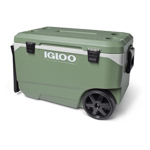 Ecocool Latitude 90 Roller Maxcold 1 Pz