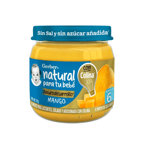 Gerber Papilla Mango Plus Adicionado con Vitaminas 113 g