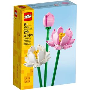 Flores de Loto 1 Pz